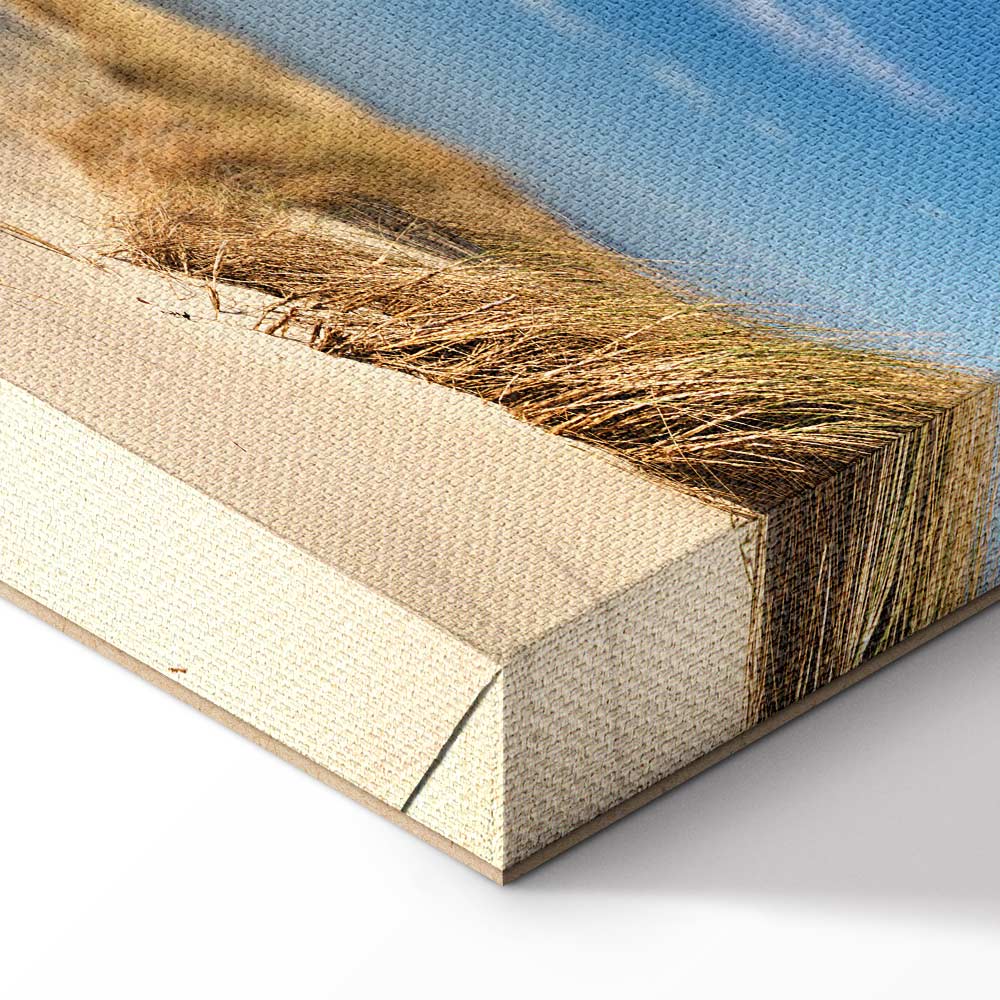 Wild Beach Seascape Canvas Print