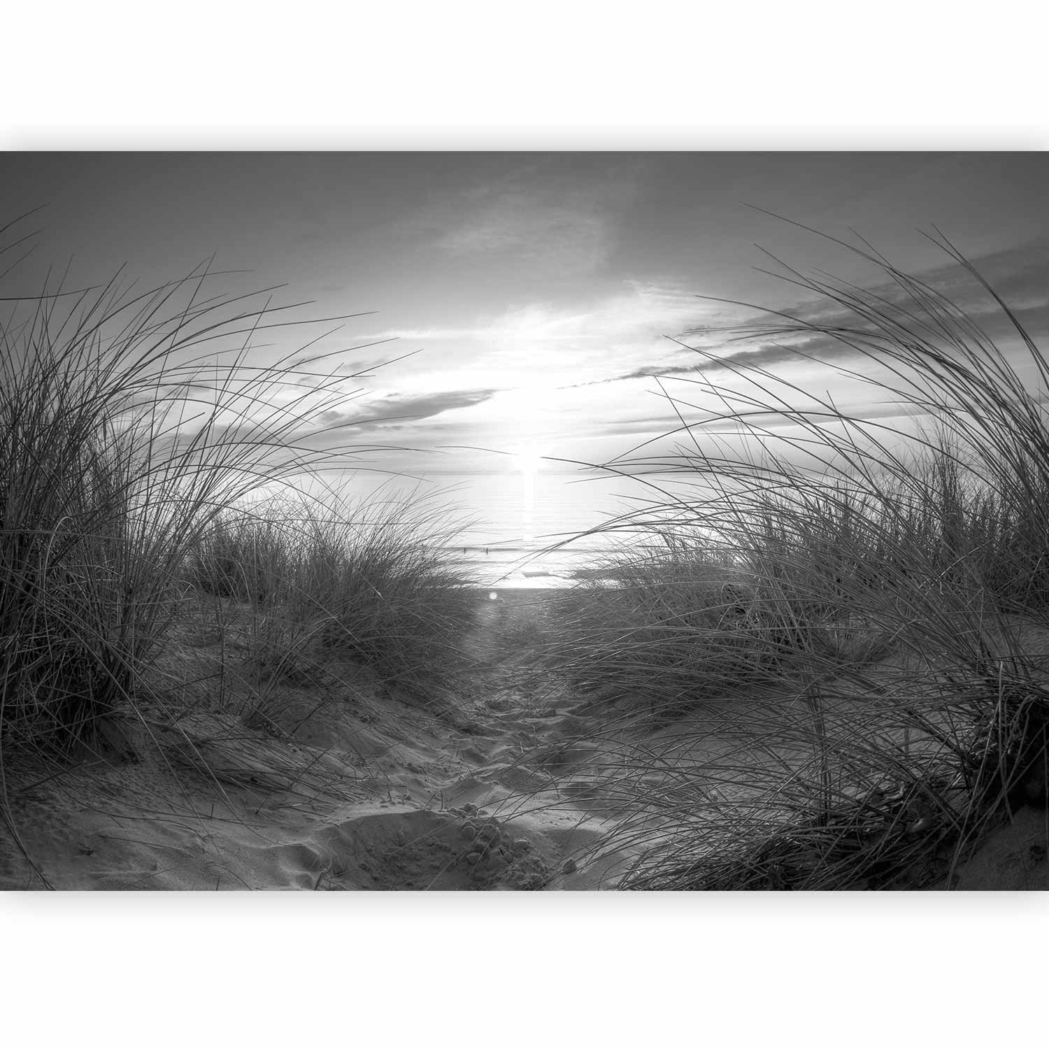 Black and White Beach Landscape Wall Mural