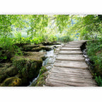 Forest Path Nature Wall Mural