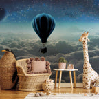 Night Sky Plane 3D Wall Mural