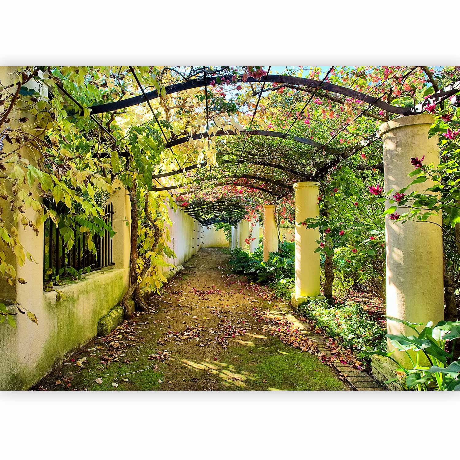 3D Garden Pergola Floral Wall Mural