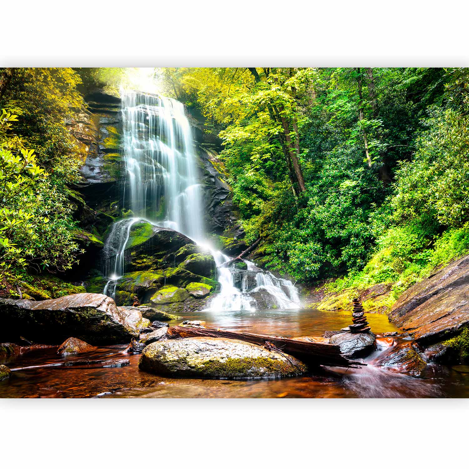 Waterfall River Nature Wall Mural