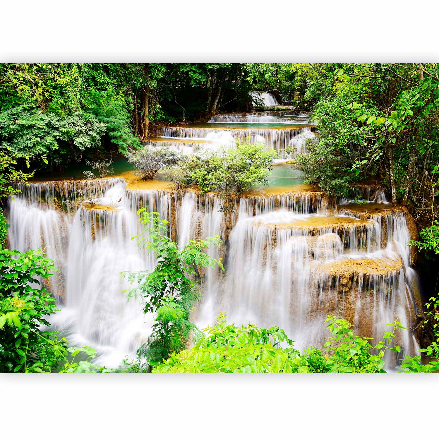 Thai Waterfall Forest Landscape Wall Mural