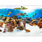 Tropical Sea Fish Nature Wall Mural