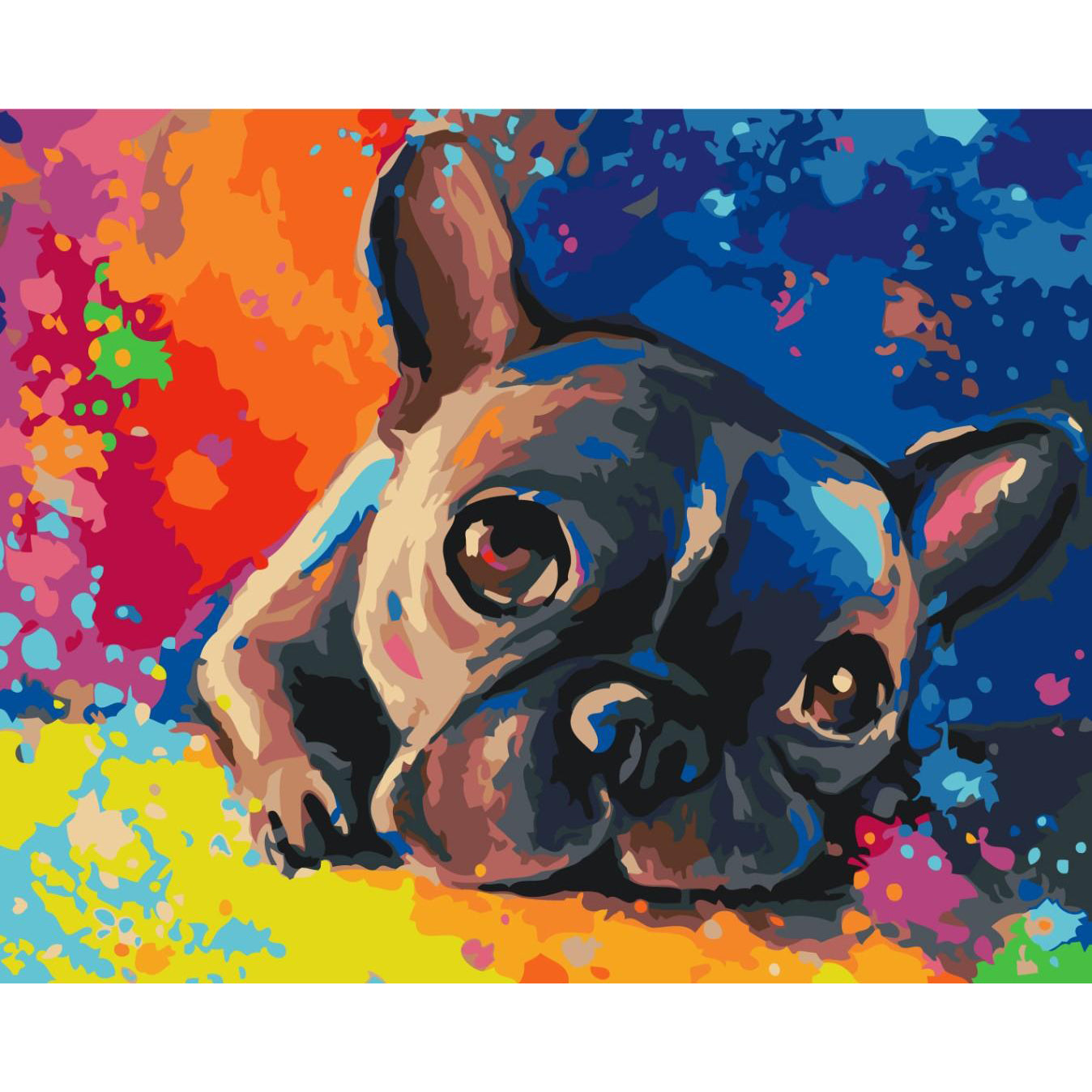 Colourful French Bulldog Paint by Numbers Kit