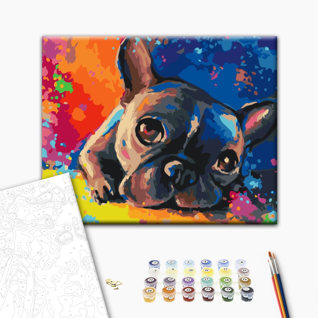 Colourful French Bulldog Paint by Numbers Kit