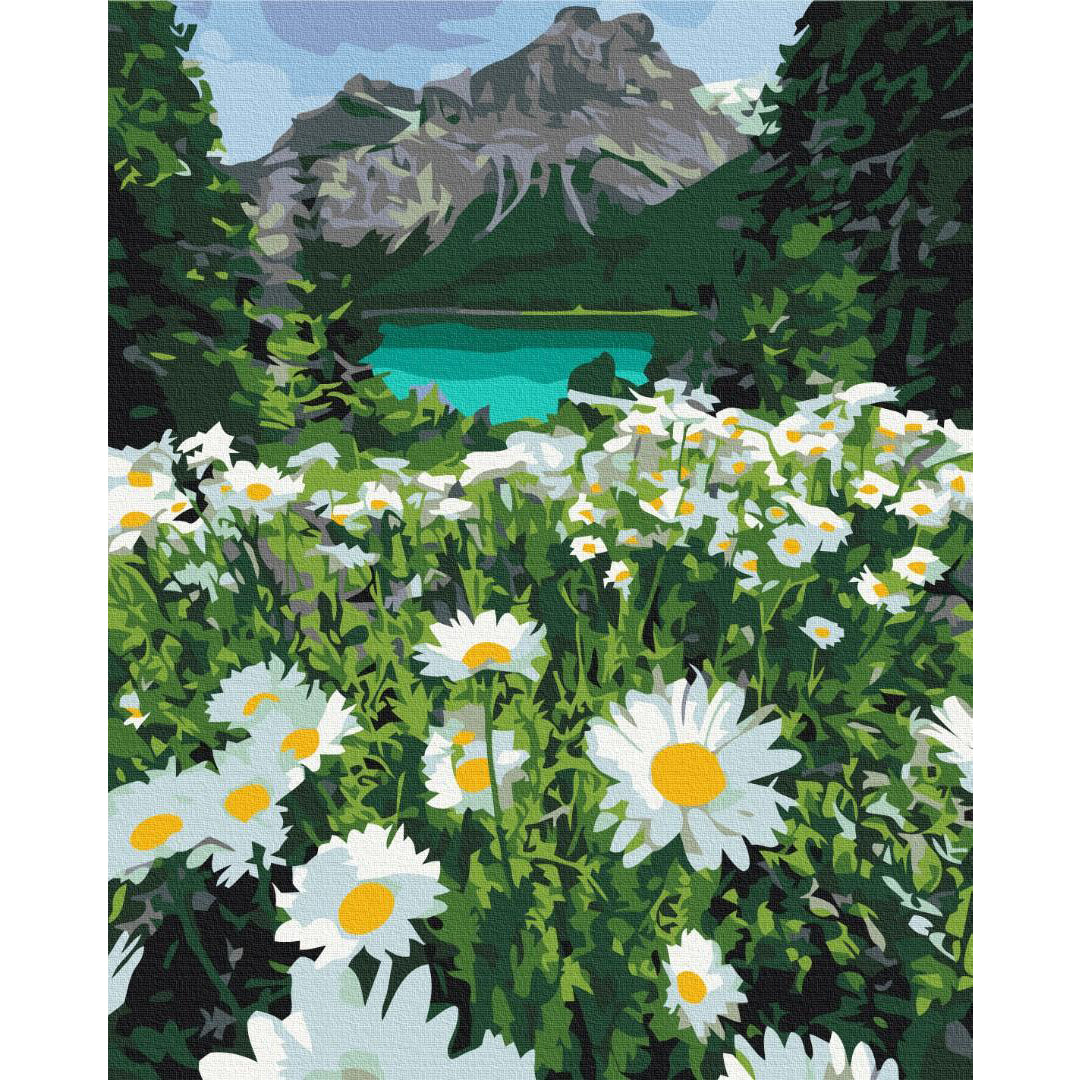 Chamomile Mountain Valley Landscape Paint by Numbers