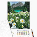 Chamomile Mountain Valley Landscape Paint by Numbers