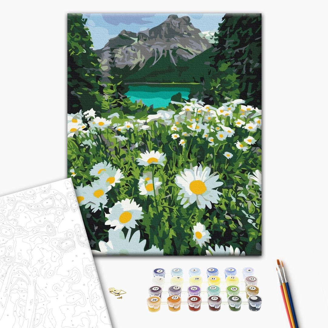 Chamomile Mountain Valley Landscape Paint by Numbers