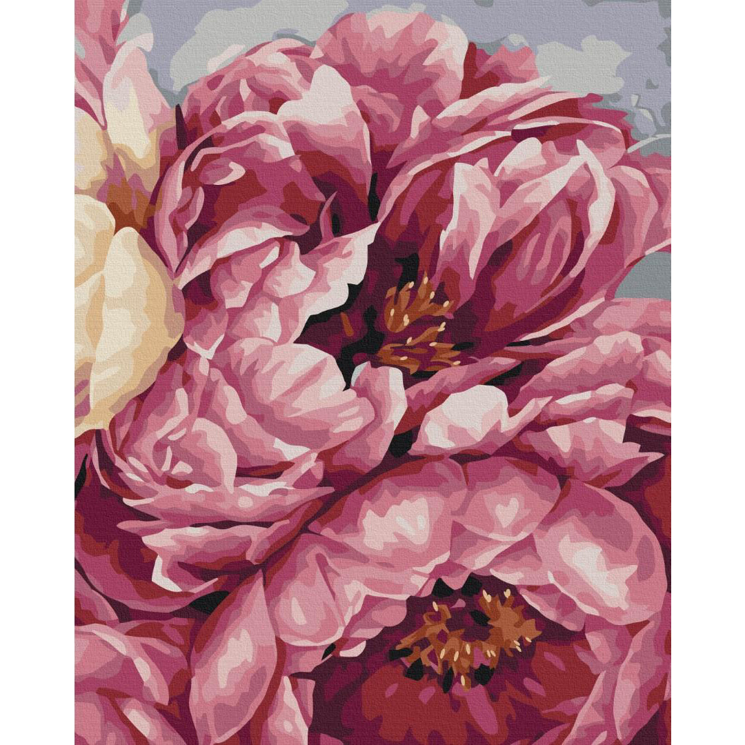 Blooming Peonies Floral Paint by Numbers Kit