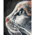 Regal Cat Animals Paint by Numbers Kit