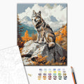 Mountain Wolf Animals Paint by Numbers Kit