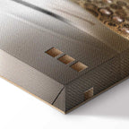 Golden Geometric Stripes Abstract Canvas Print