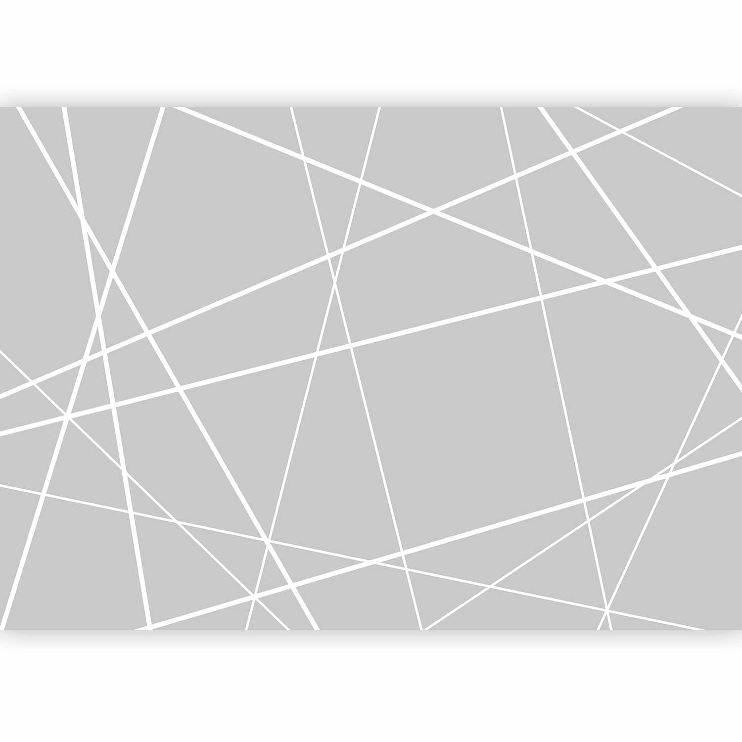 Modern Cobweb Geometric Wall Mural