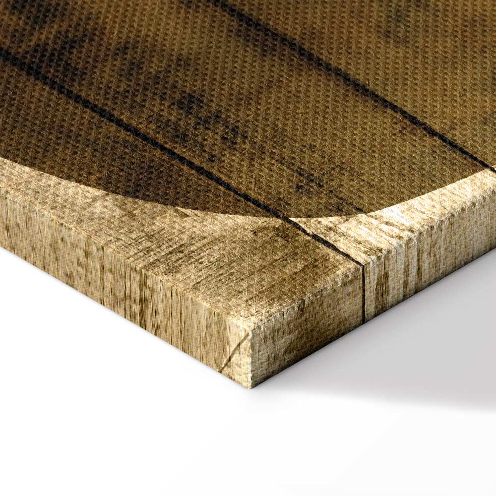 Golden Chocolate Abstract Texture Canvas Print