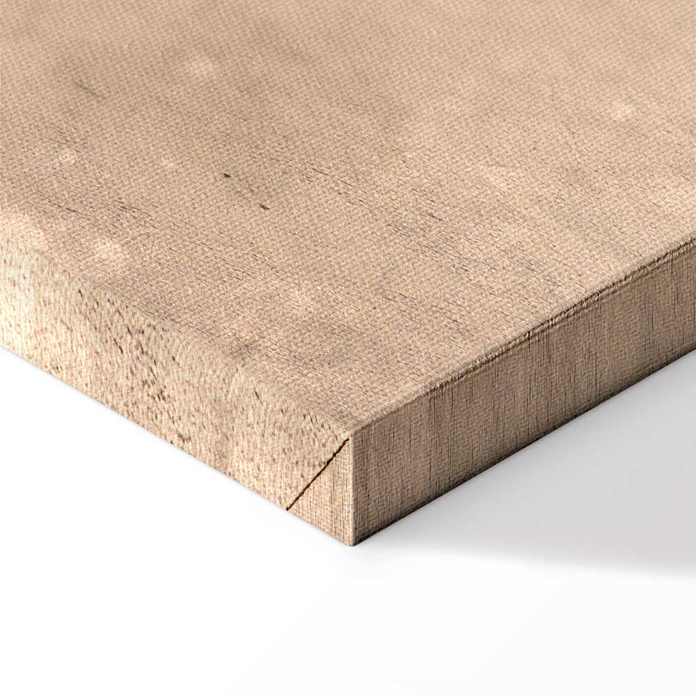 Sand Balloon Abstract Texture Canvas Print