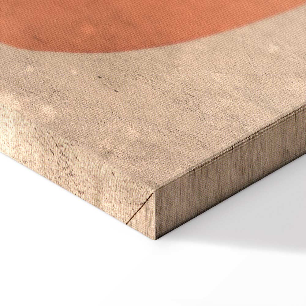 Moon Butterfly Abstract Texture Canvas Print