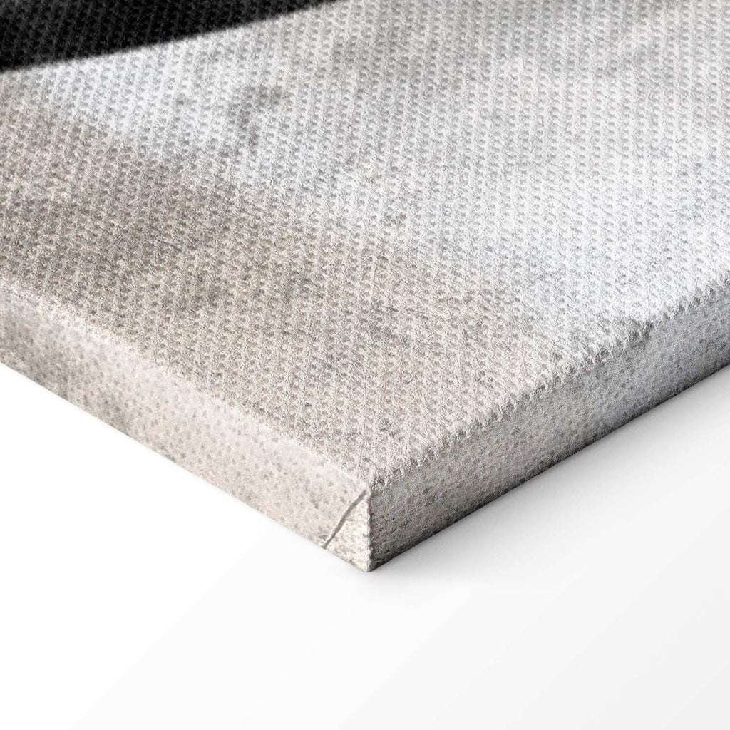 Noble Moon Abstract Texture Canvas Print