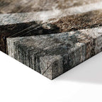 Abstract Plume Texture Wide Canvas Print