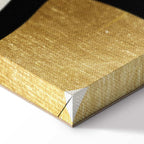 Golden Spiral Abstract Modern Canvas Print