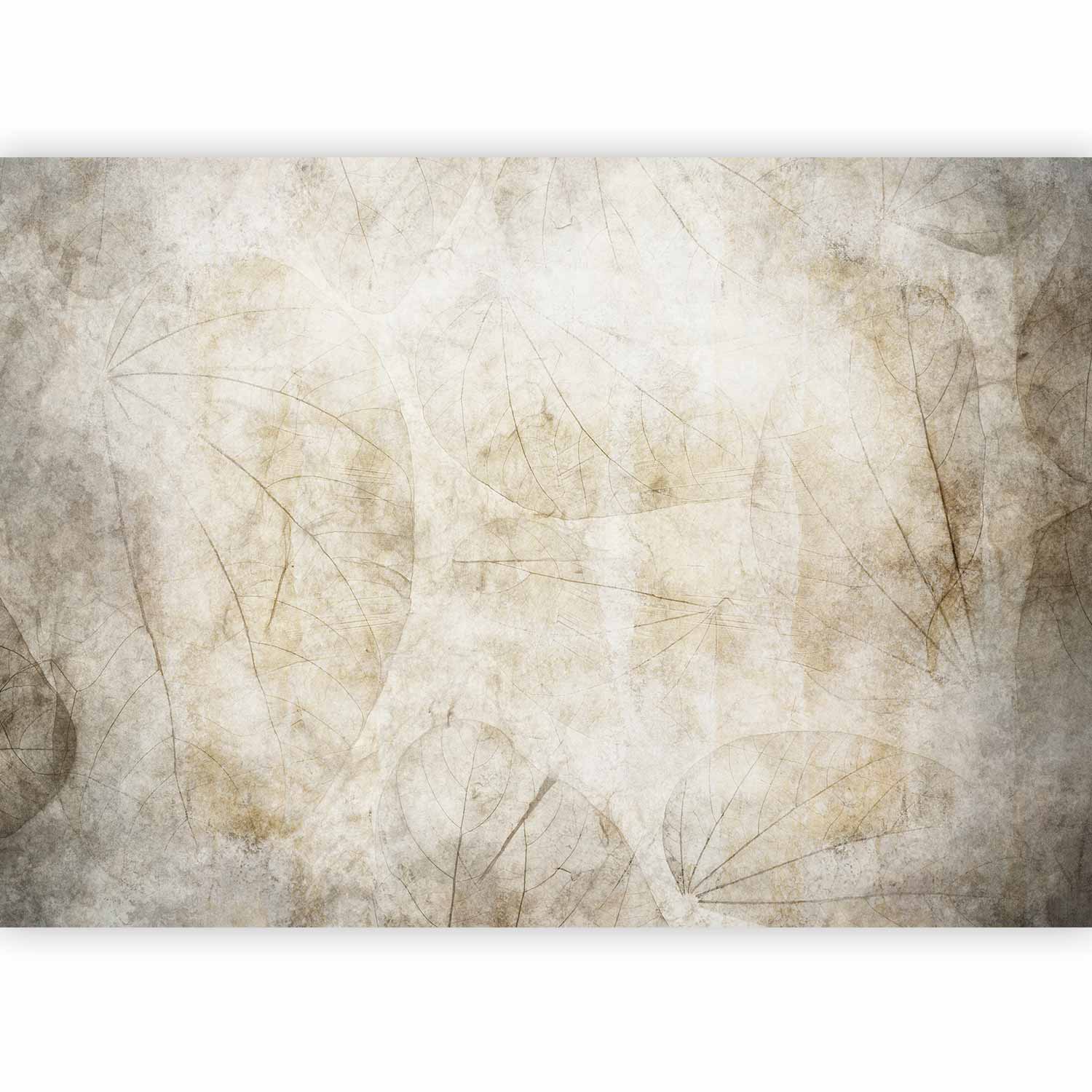 Stylish Beige Abstract Wall Mural for Home Decor