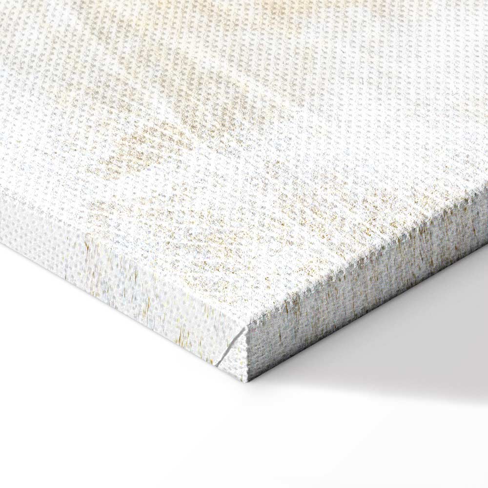 Abstract Magic Shapes Wide Canvas Print