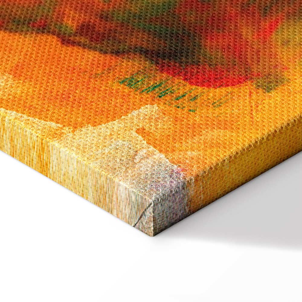 Abstract Wild Color Explosion Canvas Print