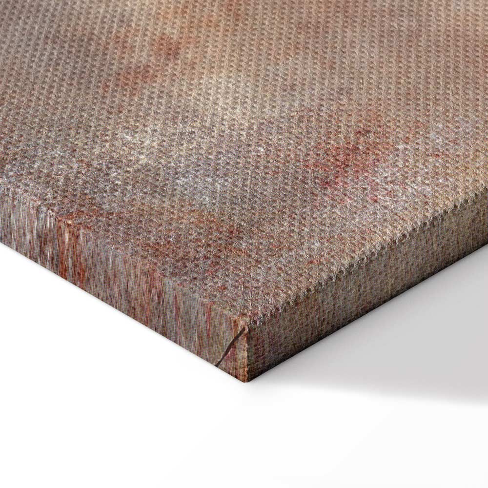 Magnetic Force Abstract Texture Canvas Print