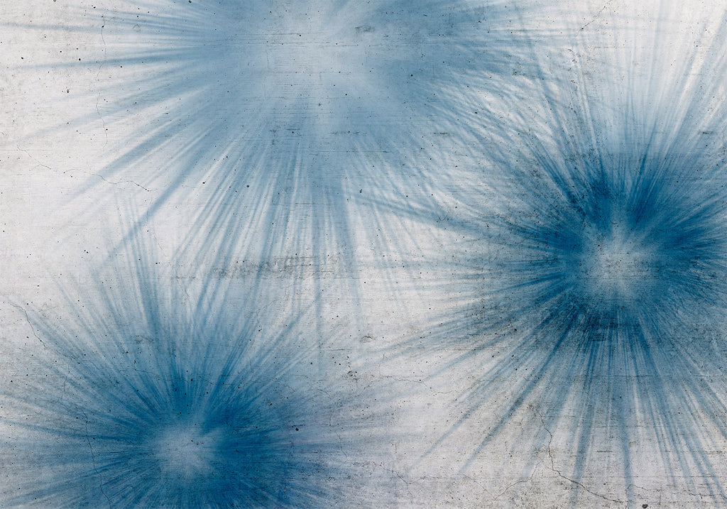 Transform Your Space with Stunning Abstract Wall Murals