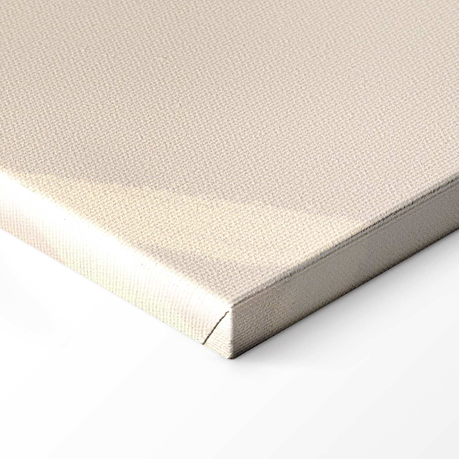 Feminine Line Art Portrait Minimalist Canvas Print