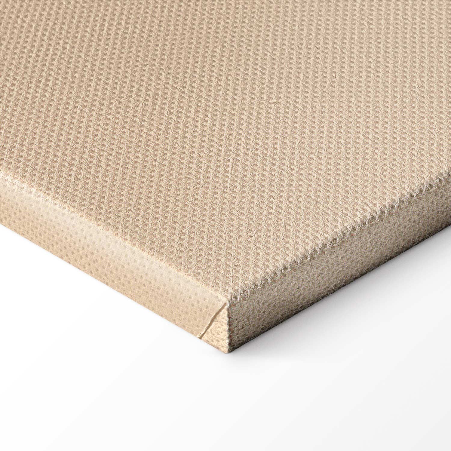 Leaf Line Art Landscape Canvas Print