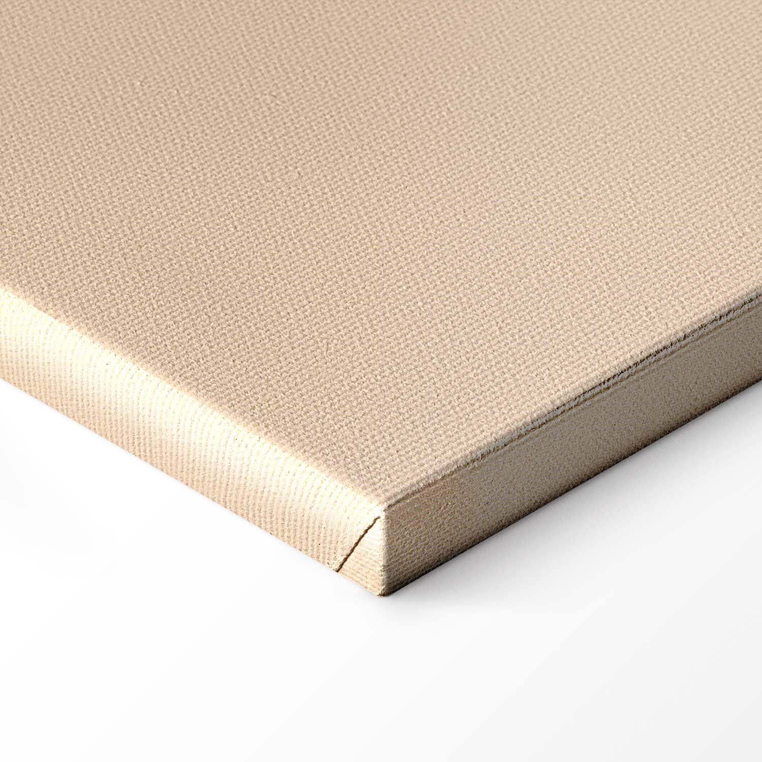 Leaf Line Art Landscape Canvas Print