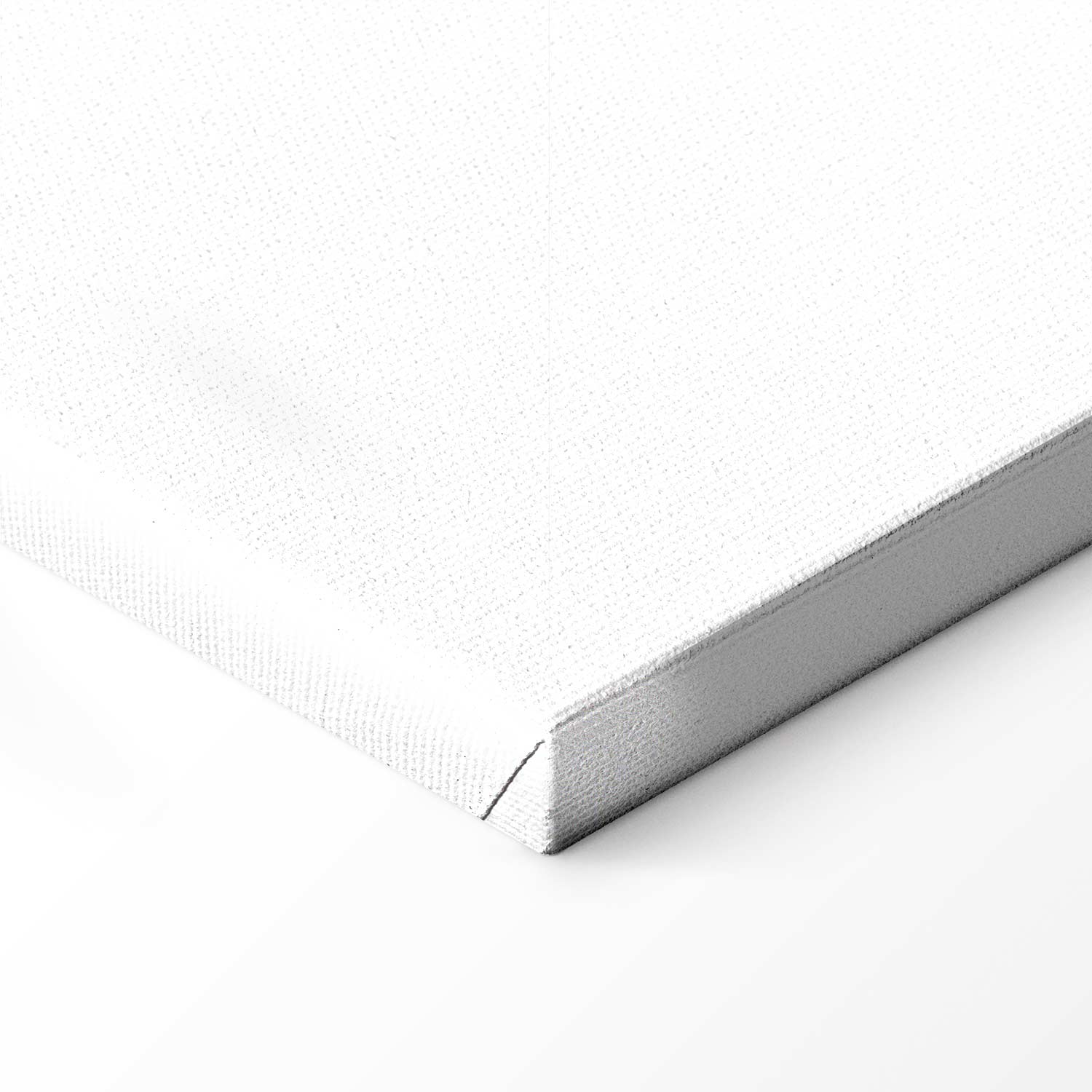 Pastel Monstera Leaf Line Art Canvas Print