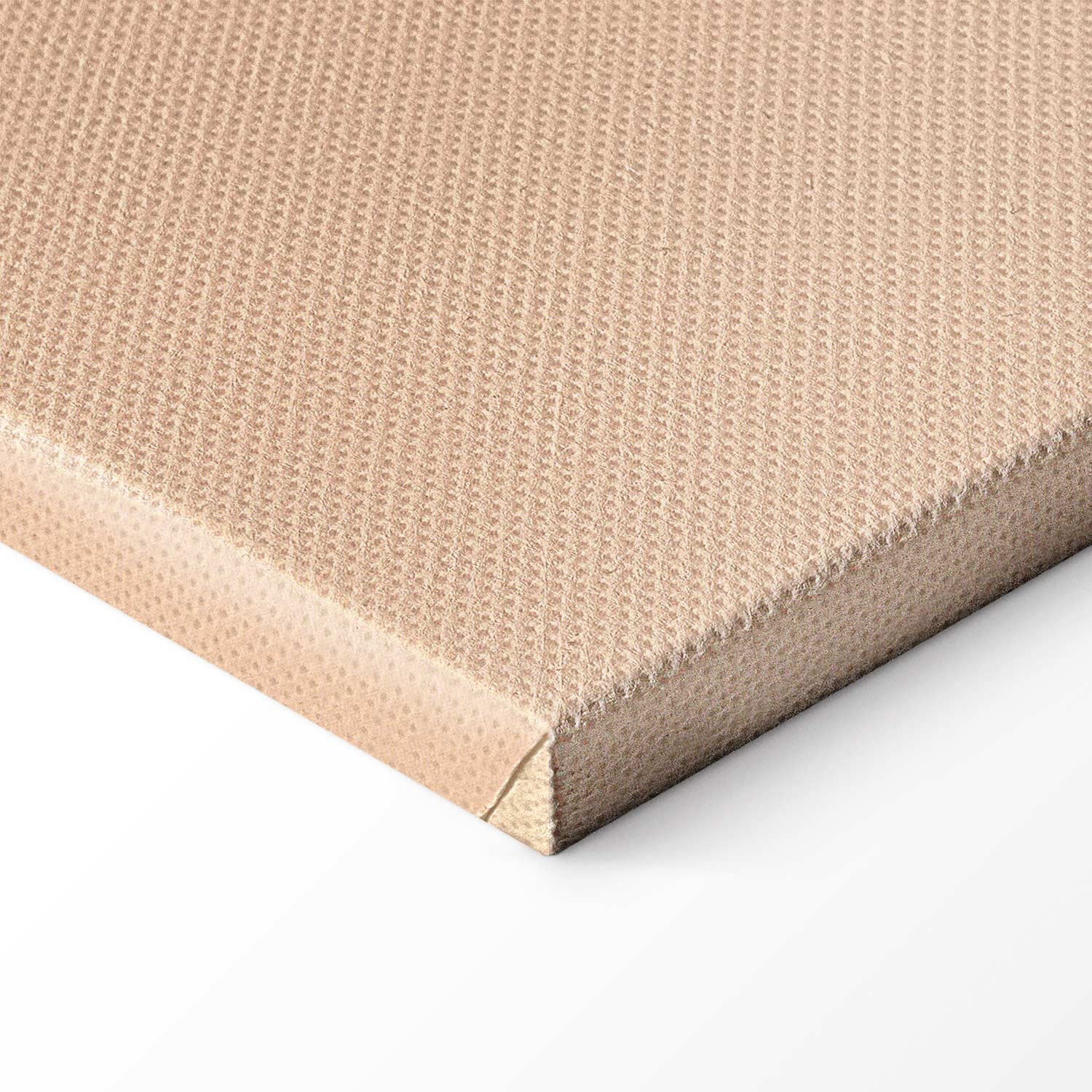 Feminine Line Art Figure Canvas Print