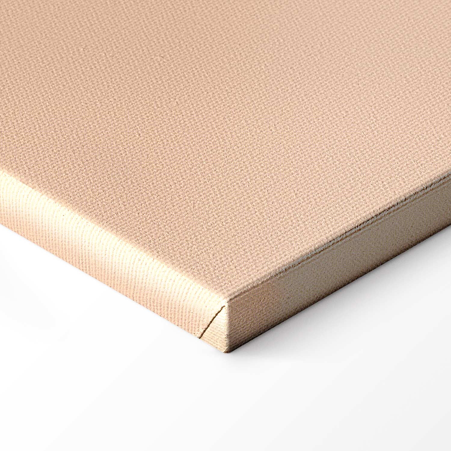 Feminine Line Art Figure Canvas Print