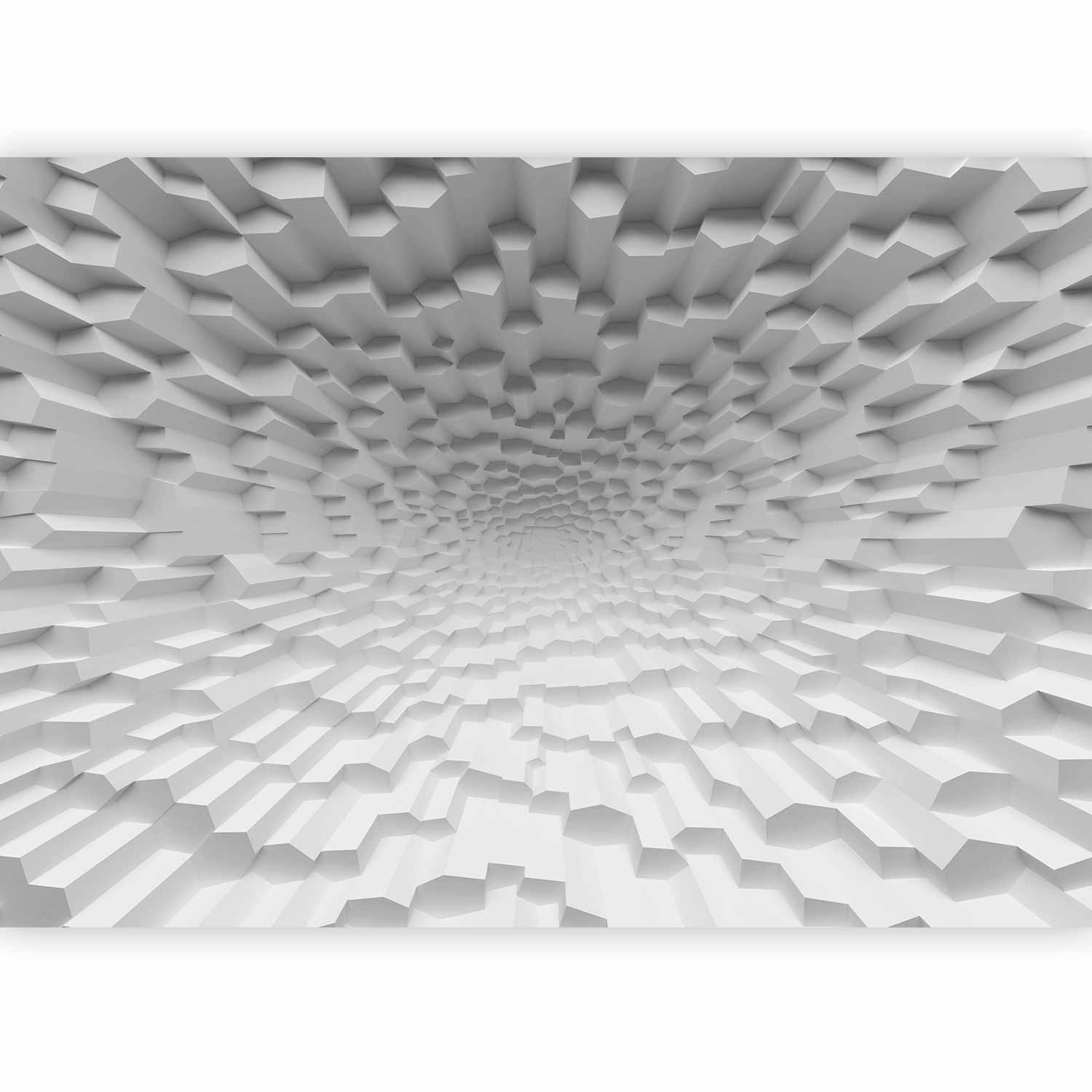 3D Geometric Optical Illusion Wall Mural