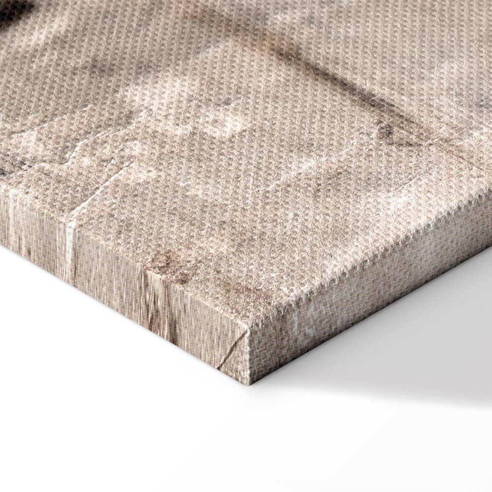 Abstract Gold and Brown Texture Canvas Print