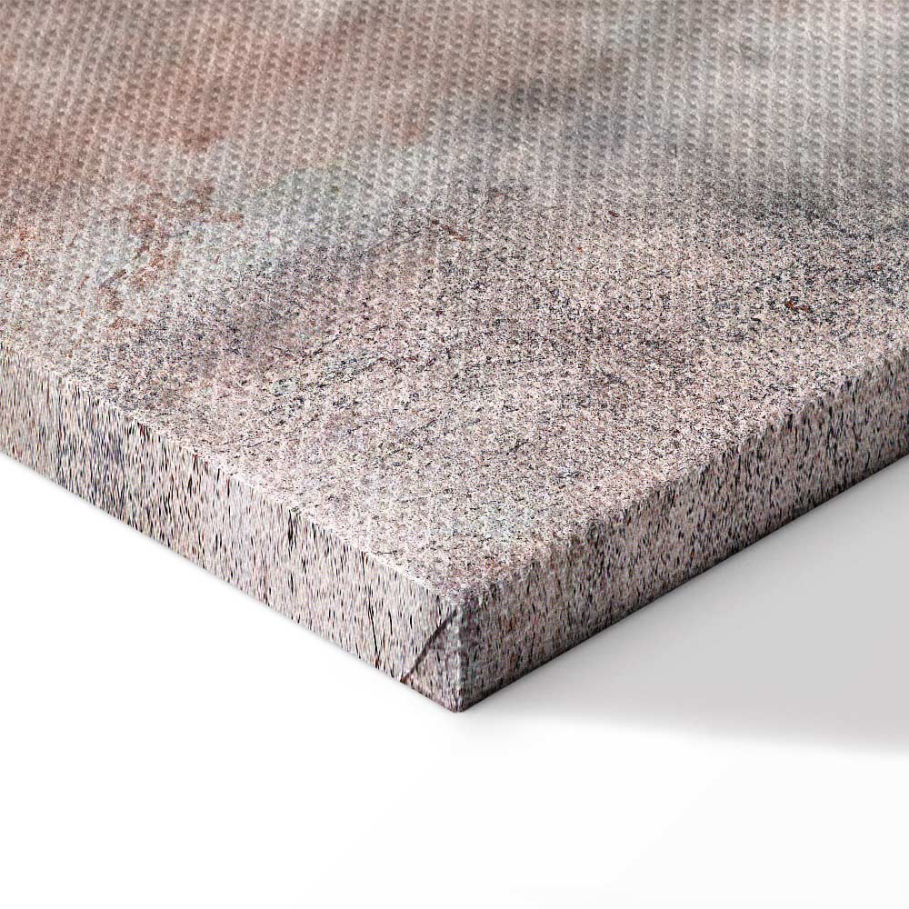 Grey Feather Abstract Texture Canvas Print