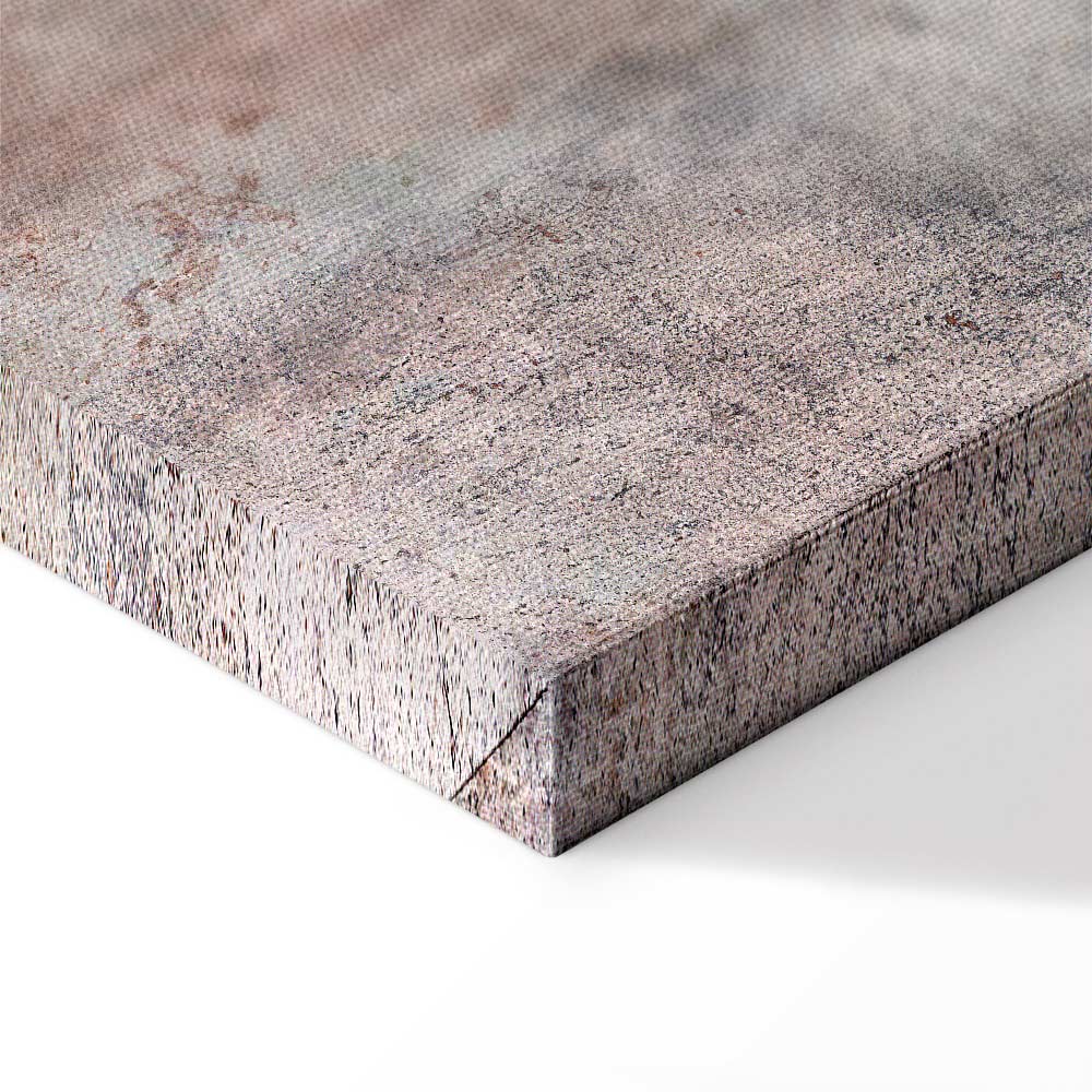 Grey Feather Abstract Texture Canvas Print