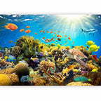 Underwater Sea Life Wall Mural