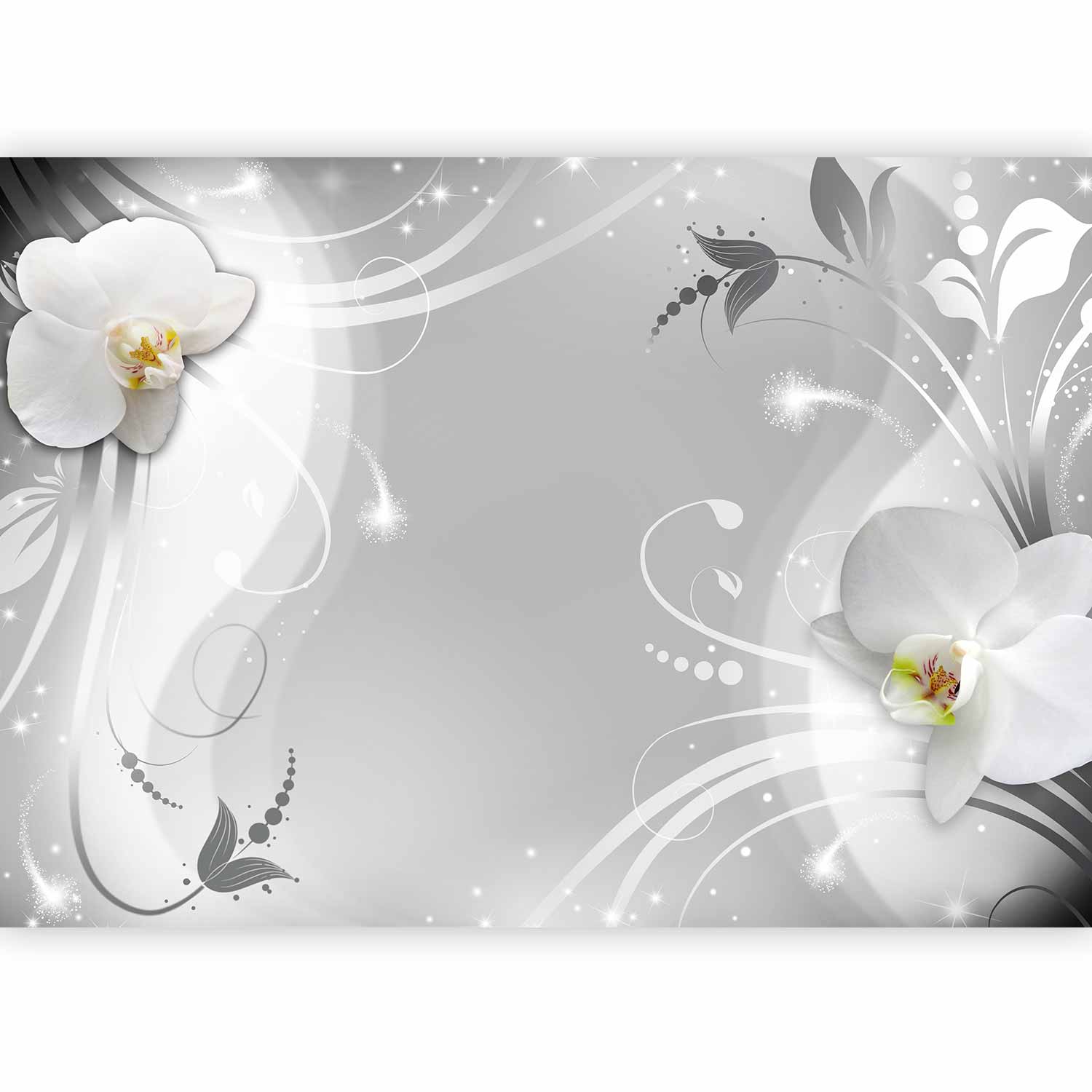 Charming Orchid Floral Wall Mural