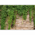 Ivy Leaves Stone Texture Wall Mural