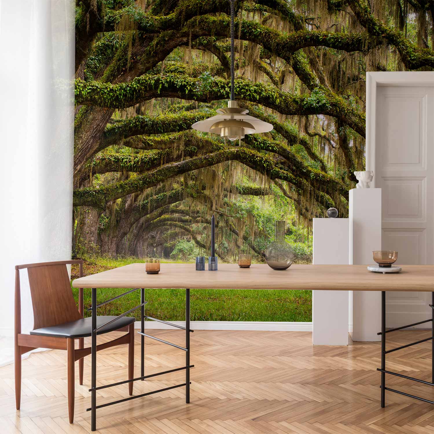 Forest Tree Embrace Nature Wall Mural