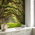 Forest Tree Embrace Nature Wall Mural