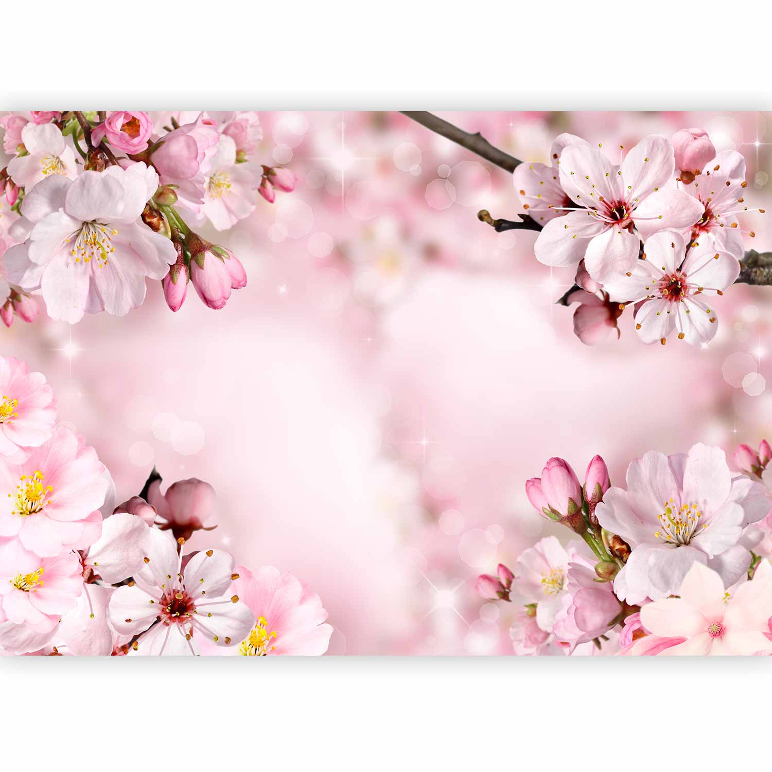 Spring Cherry Blossom Floral Wall Mural