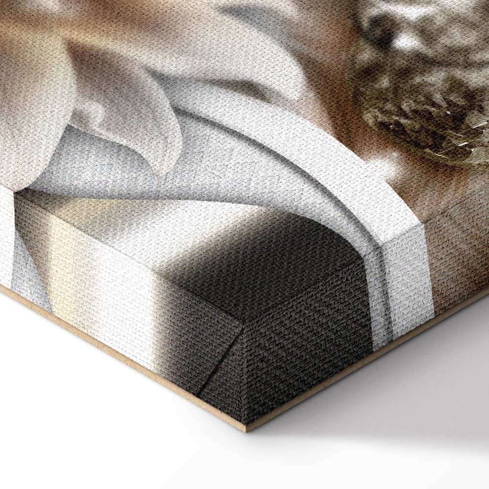 Abstract Luminosity Floral Canvas Print