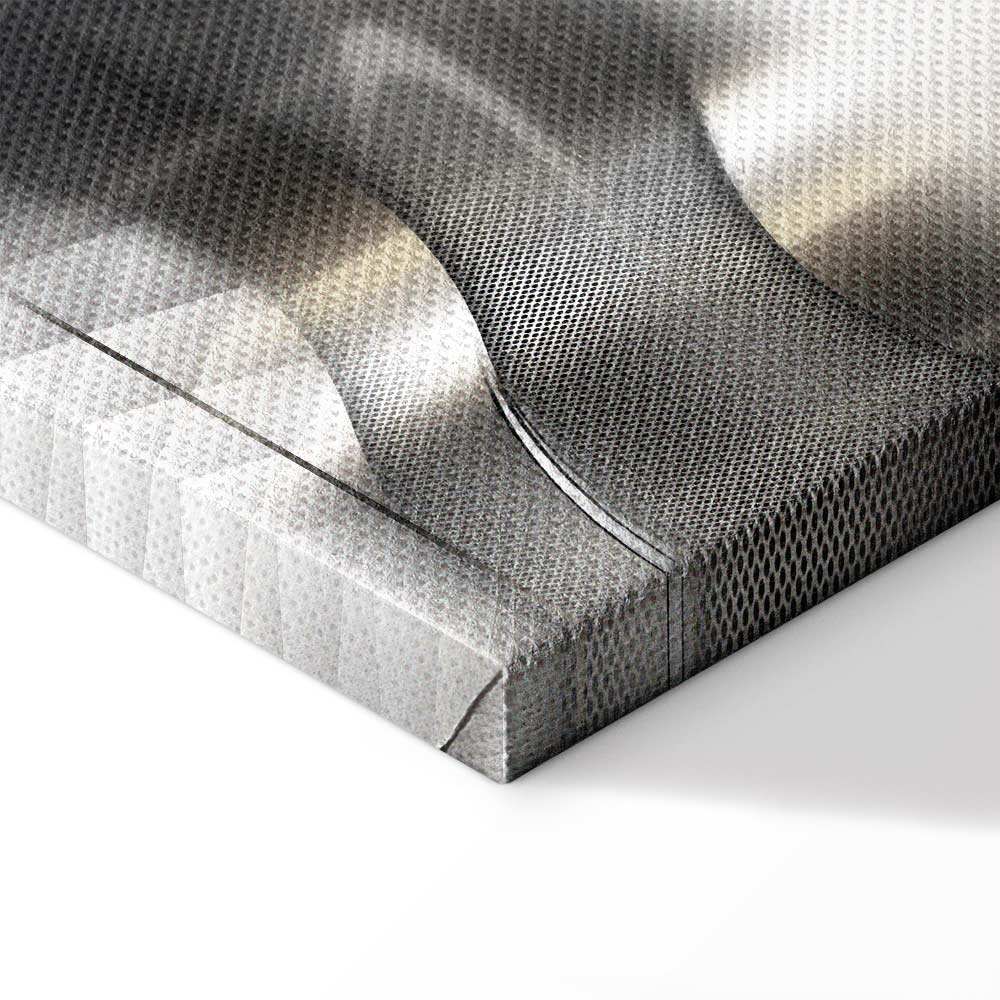 Silver Abstract Lilies Modern Canvas Print