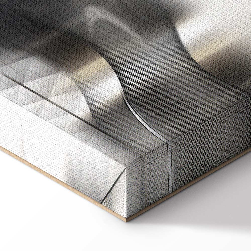 Silver Abstract Lilies Modern Canvas Print