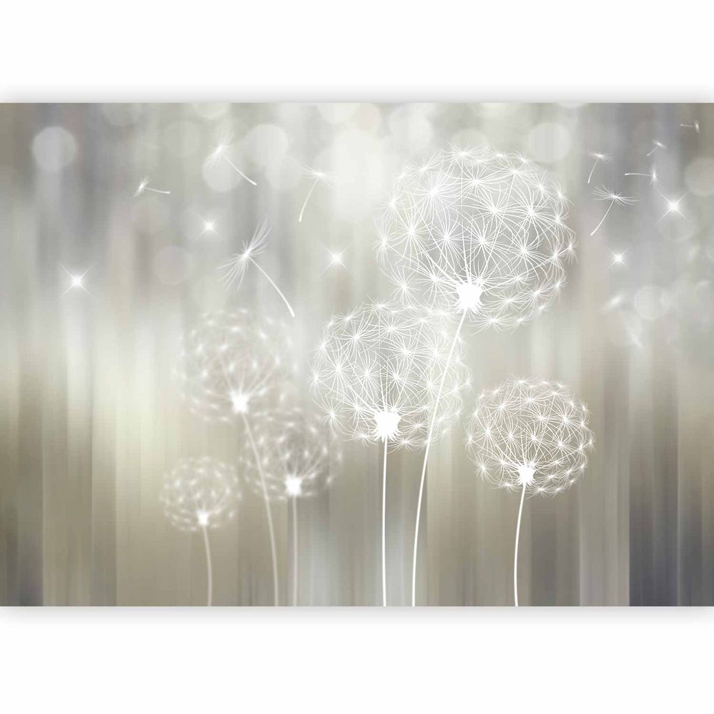 Sunlit Dandelion Flowers Nature Wall Mural