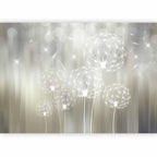 Sunlit Dandelion Flowers Nature Wall Mural